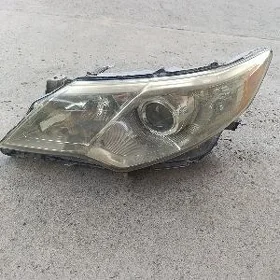 Palta camry fara