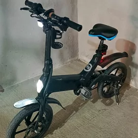 Tokly tigir
