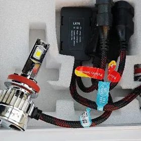 Fara Tobys Led blijni H11