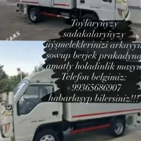Toy haladilnik
