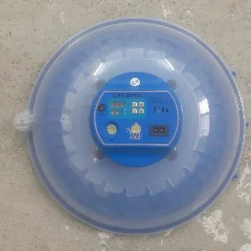 inkubator