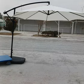 Zontik