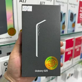 SAMSUNG S25