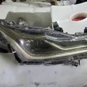 Corolla europeyka fara