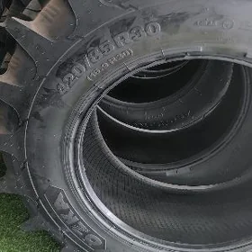 Traktor Teker 16.9/30 13.6/24