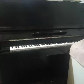 Пиянино муз.Piýanino saz gural