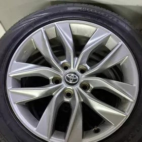 Avalon Sienna(2020)
