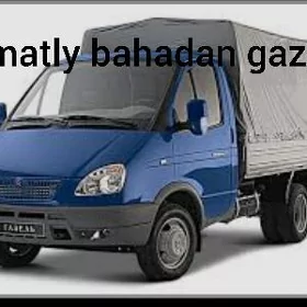 gazel