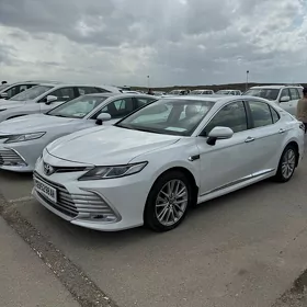 Toyota Camry 2023