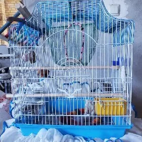 клетка для попугая