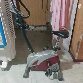 велотринажор