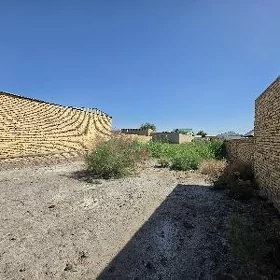 satlyk daca