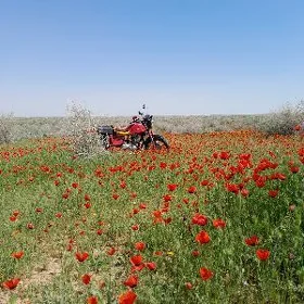 Iž Planeta 5 1992