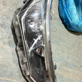 Fara  Carolla 18