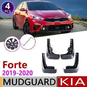 Forte brazgawik