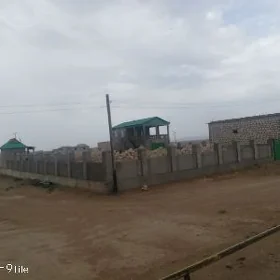 Сатлык жай