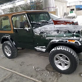 Jeep Wrangler 1994