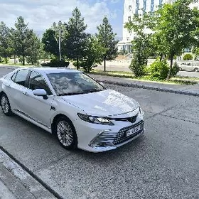 Toyota Camry 2020