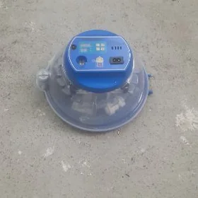 inkubator