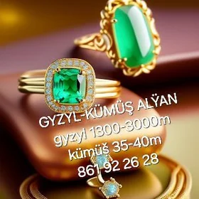 gyzyl kümüş alÿan