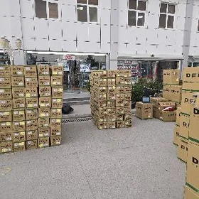 Fara Stop Depo005