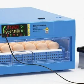 Inkubator / инкубатор🐥🐣