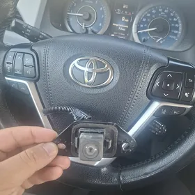 Palta yzky camera morda
