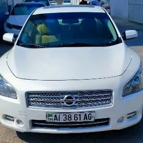 Nissan Maxima 2010