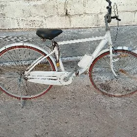 Ural tigir