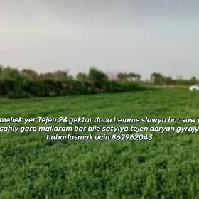 Mellek yer ekin Tejen