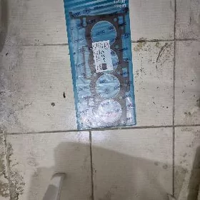 Hundai galofka pyrkylatka