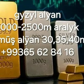 gyzyl -kümüş alÿan