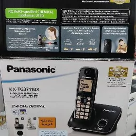 Panasonic