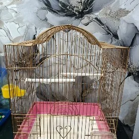 Клетки для птиц