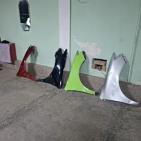 Palta krylo morda