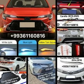 KAROLLA TUMANI 2019.2025