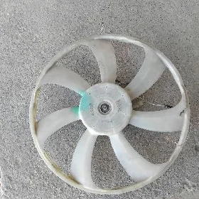 lopus Denso