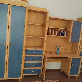çaga mebeli satlyk