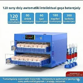 Inkubatorlar🐣