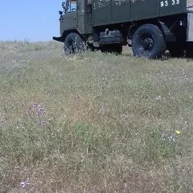 Gaz 66 1980