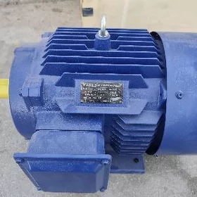 elektro dwigatel