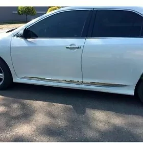 Camry 12-17 gapy nikel molding