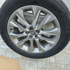 HIGHLANDER DISKA limited