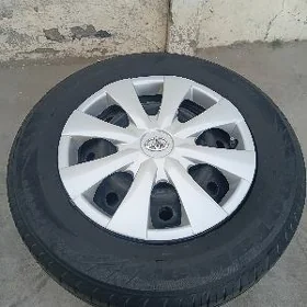 Karolla radnoy disga kalpak.