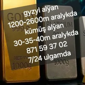 gyzyl kümüş alÿan