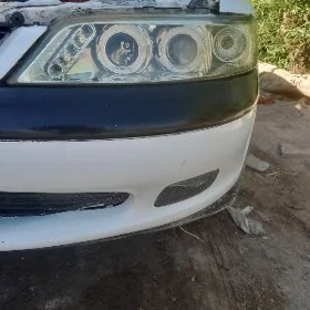 Vectra b polis far