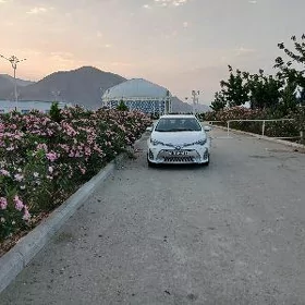 Toyota Corolla 2019