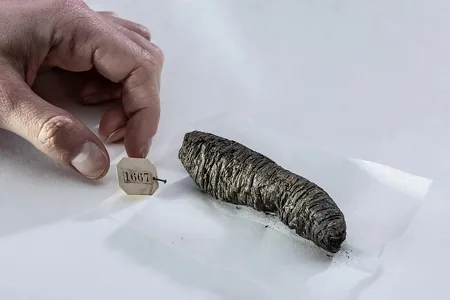 Ýuliý Sezaryň gaýyn atasynyň köşgünden tapylan gadymy golýazma okaldy