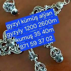 gyzyl kümüş alÿan
