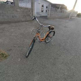 Abmen Yaposga tigir